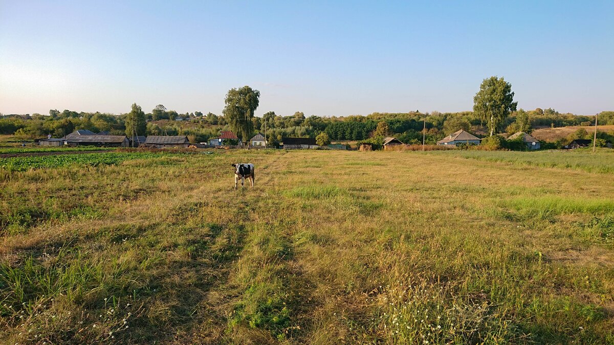Сентябрь в деревне