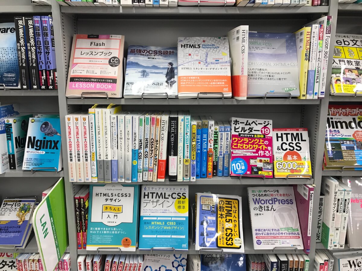 Фото: Сергей Викульцев