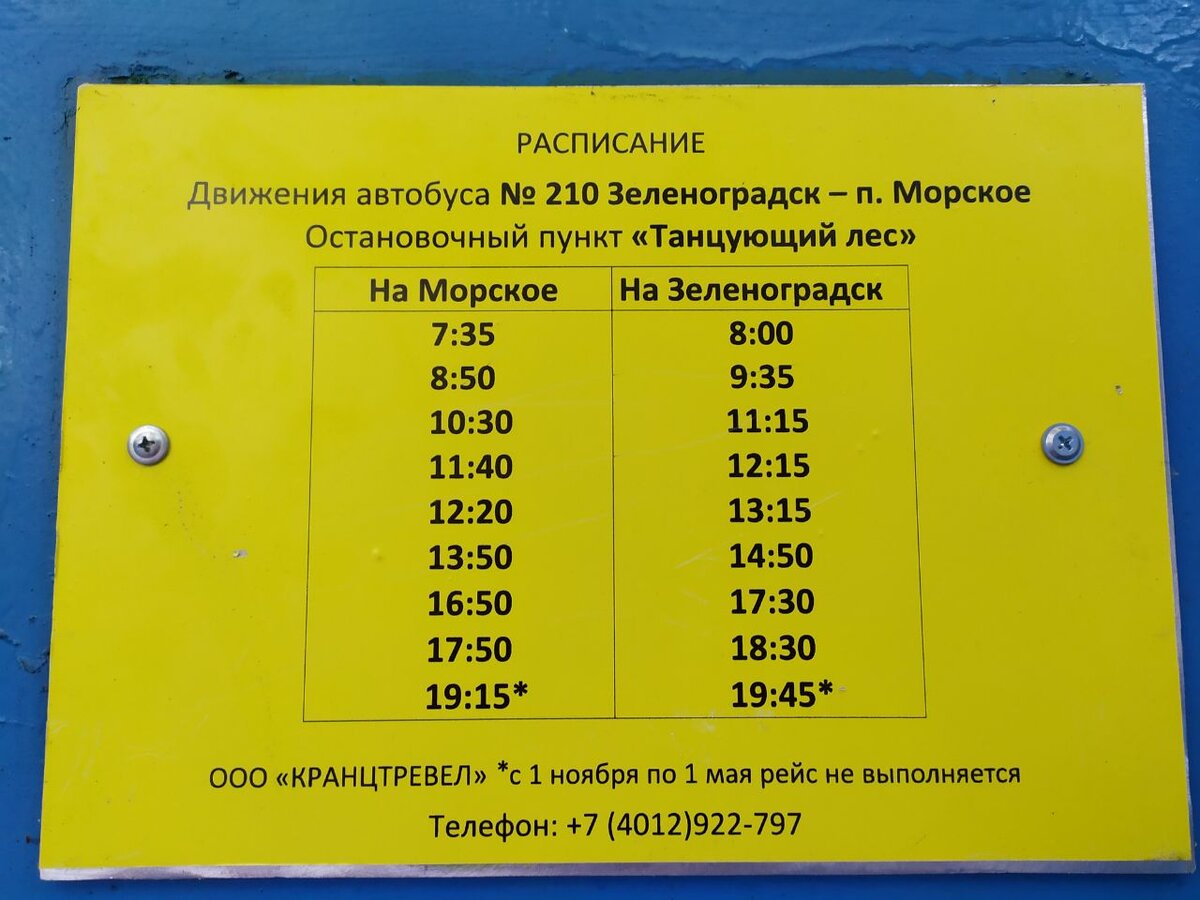 Внимание: это расписание уже на обратный путь! От остановки "Танцующий лес"