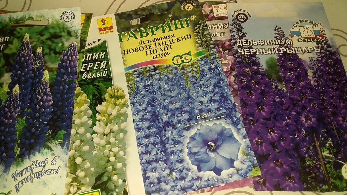 дельфиниумы и люпины