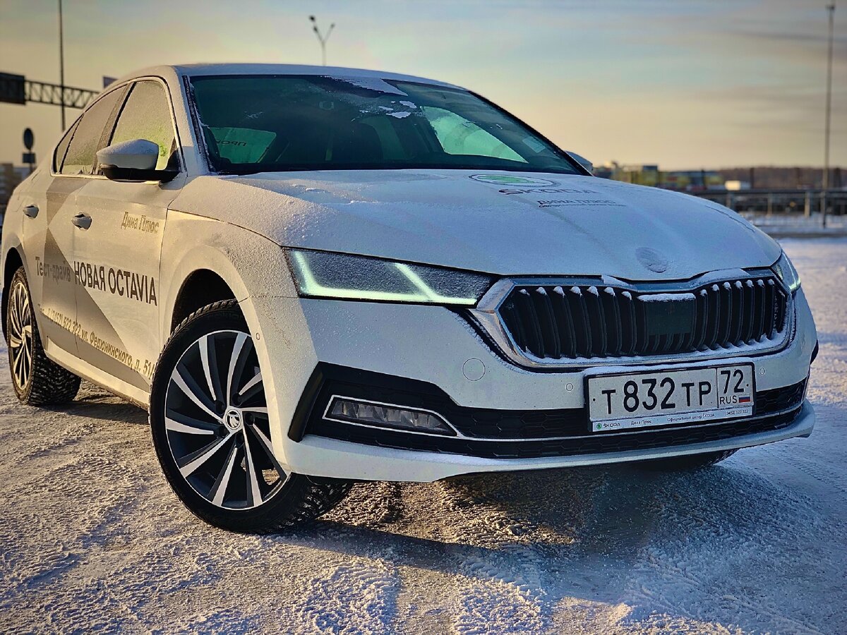 То что новая Octavia стала выглядеть как хищница - глупо отрицать. Но матричная оптика с адаптивным дальним светом и функцией освещения поворотов доступна лишь самой максимальной комплектации, их стоимость всего 78 000 рублей (они считаются опцией), но и стандартные светодиоды тоже выглядят неплохо.