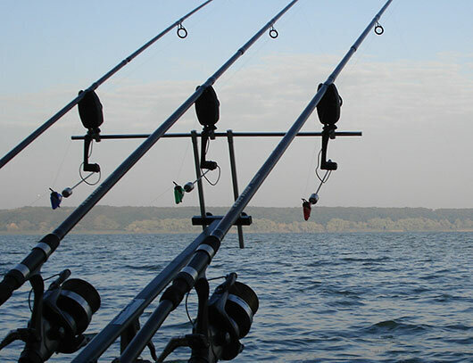 фото с сайта https://rybalkavreke.ru/