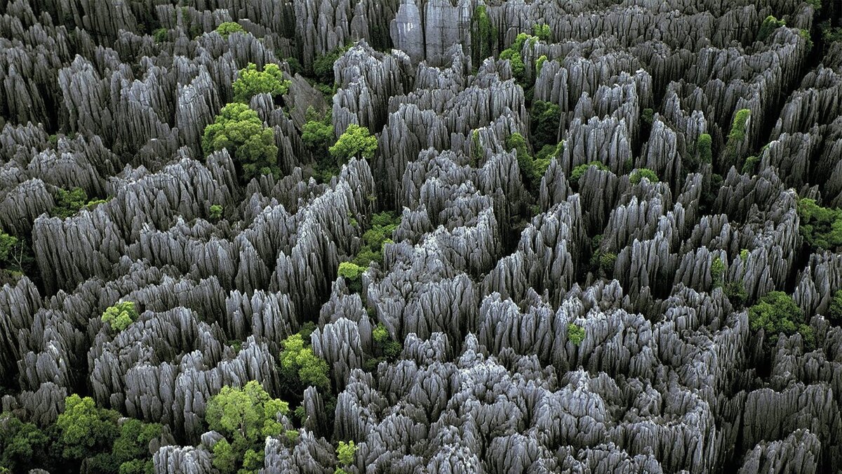 Цинжи-дю-Бемараха каменный лес Мадагаскар