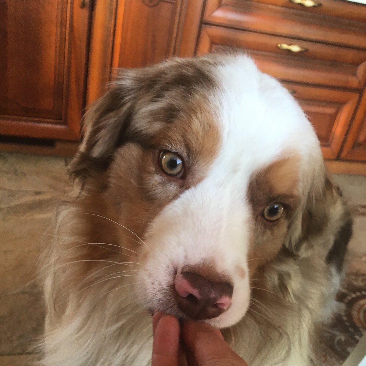 Круглоголовый пупс