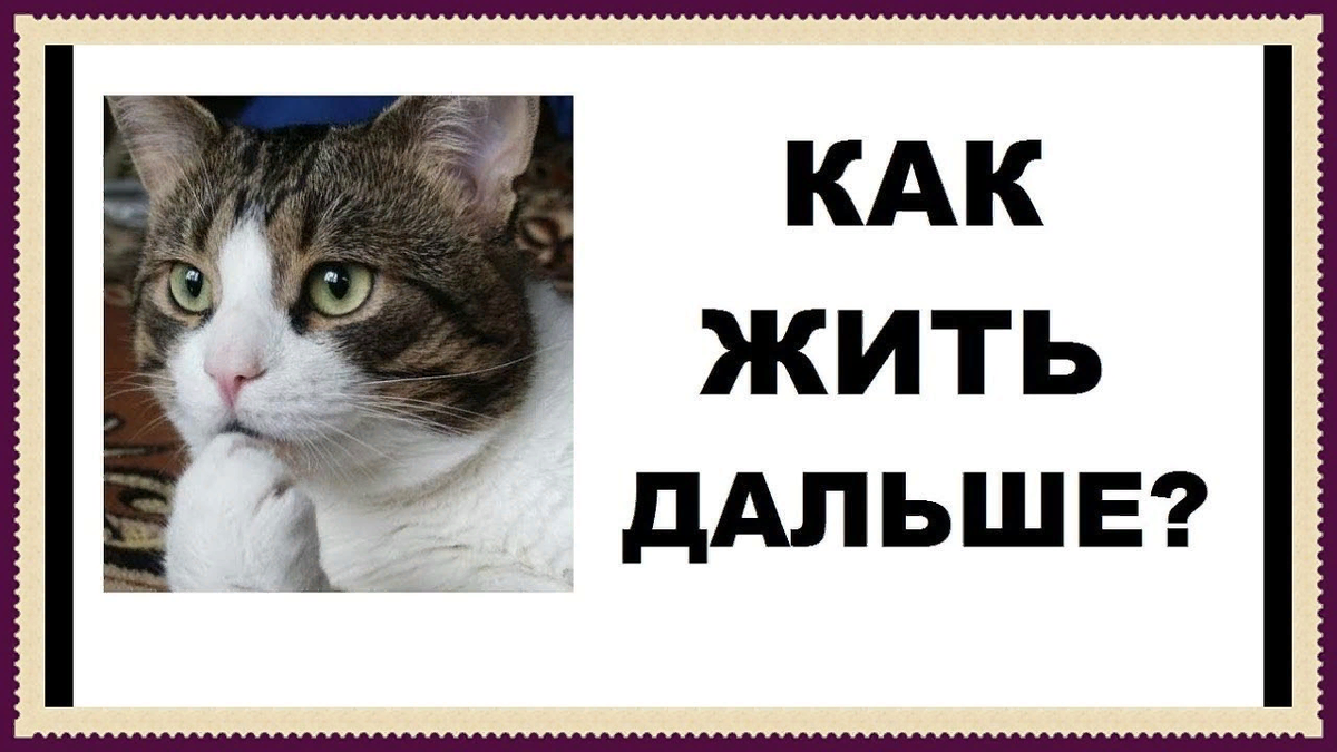 Из Интернета