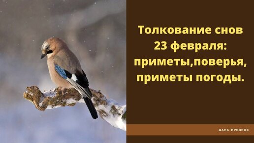 Приметы на николу летнего. 19 мая – иов-горошник, огуречник, росенник. 22 мая приметы и поверья народные. Приметы на николу вешнего 22 мая. 22 мая приметы и поверья.