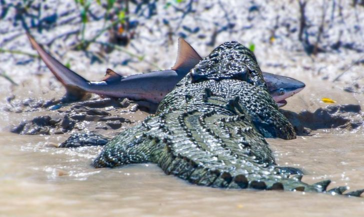 Фото с сайта micccp.com