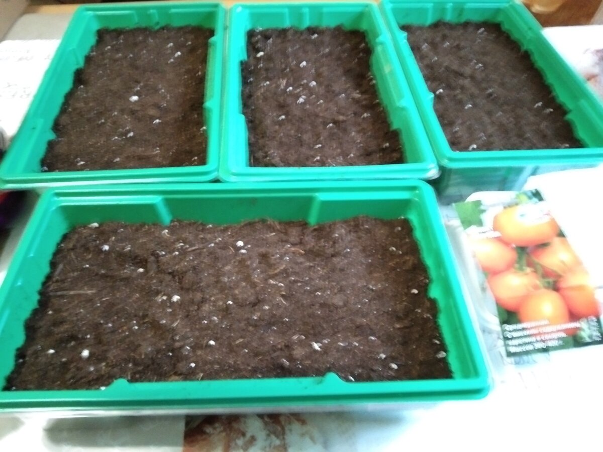 Купила в Фикс Прайсе мини-теплички и подготовила их для посева помидоров, использовала готовый универсальный грунт. Посеяла помидоры сортов Джина, Агата, Ракета, Розовый фламинго, де Барао черный, Де Барао золотой, Дубрава, Китайский оранжевый (семена этого сорта выписала на Алиэкспресс и помидорки пришлись ко двору).