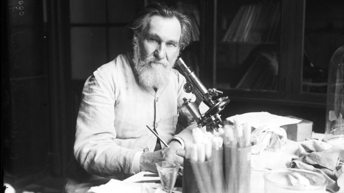 Илья Ильич Мечников (1845-1916) — русский и французский биолог. Лауреат Нобелевской премии в области физиологии и медицины (1908).