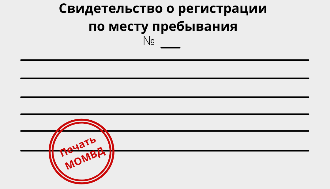 Источник фото: https://www.canva.com/ 