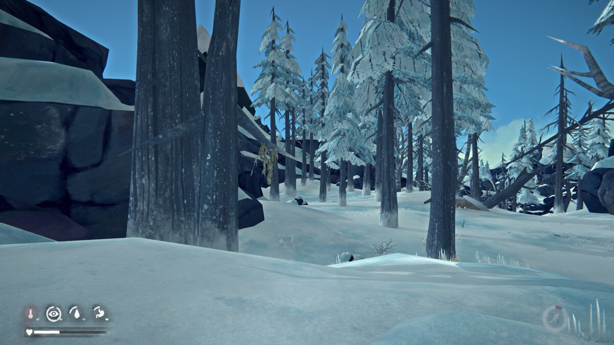 Почему не запускается The Long Dark?