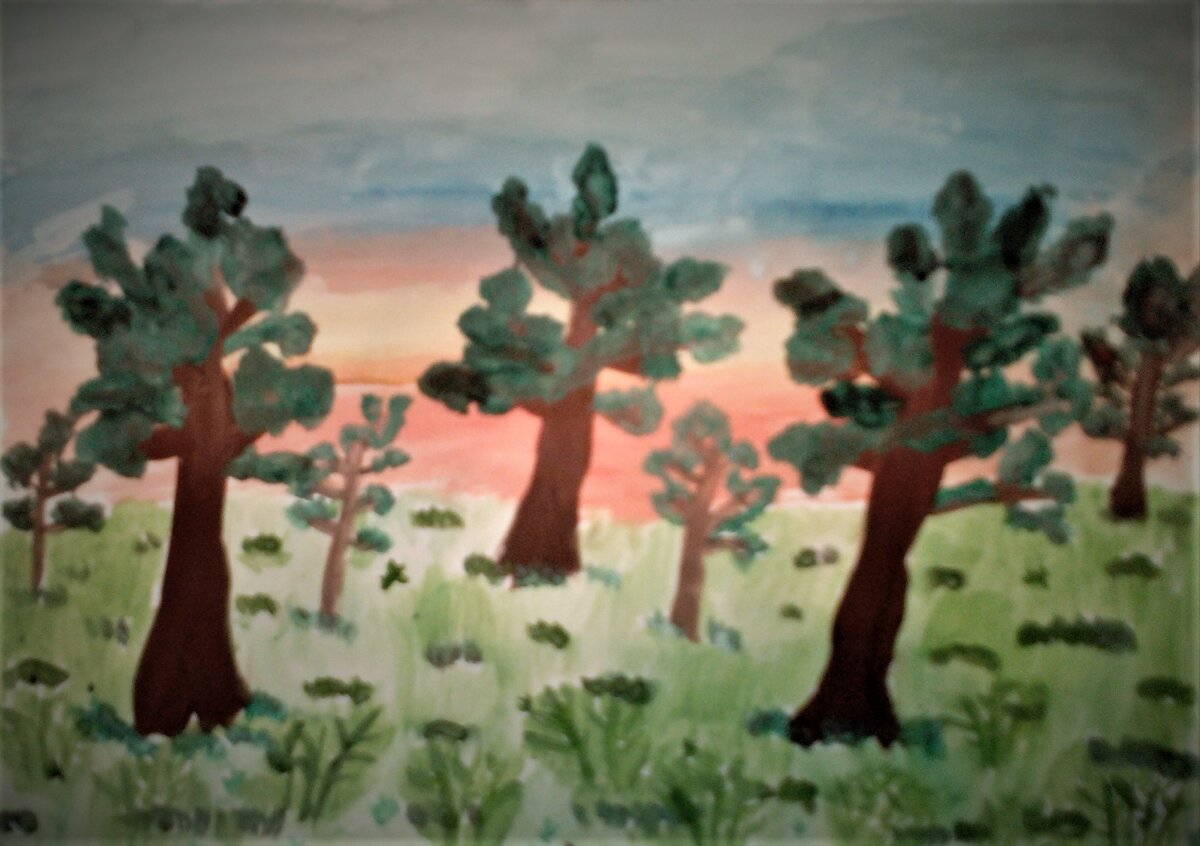 Шапа Александра 8 лет "Кедры"