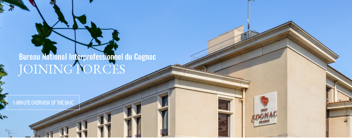 Национальное Межпрофессиональное Бюро Коньяка, Источник: https://www.cognac.fr/en/bnic/home/