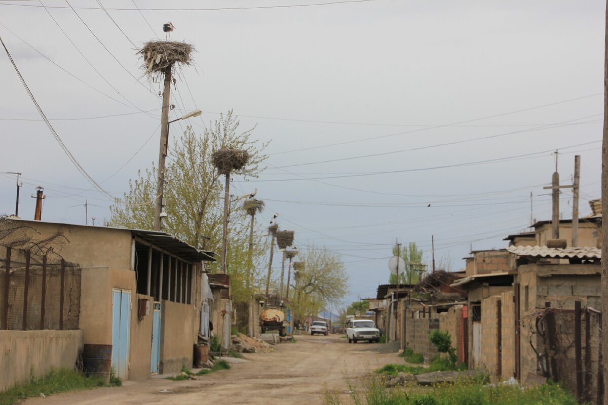 Армения Араратская Долина село Арарат