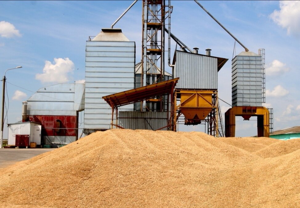 Зерновой ток ( фото из интернета) 