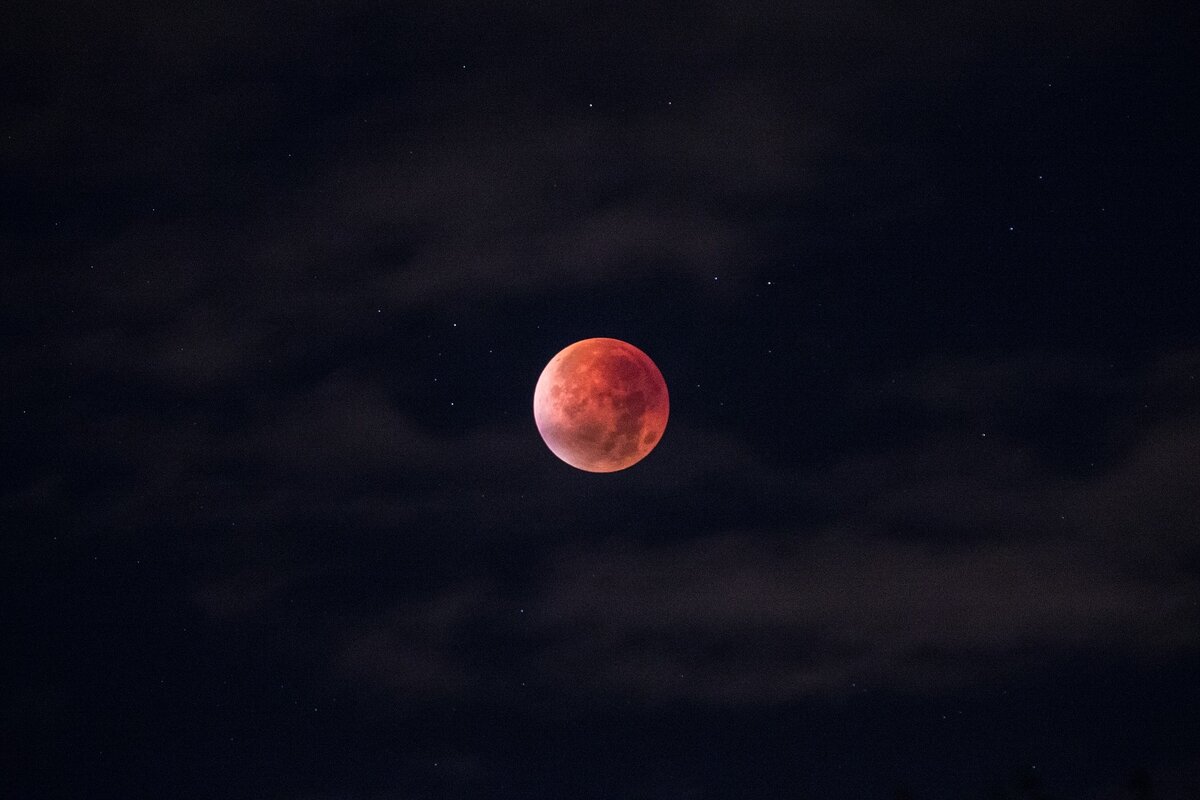 https://pixabay.com/ru/