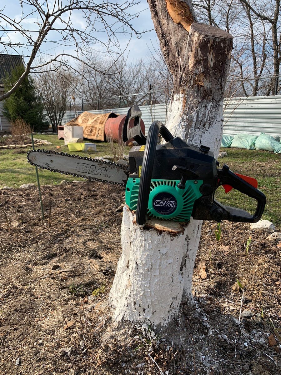 Наша труженица