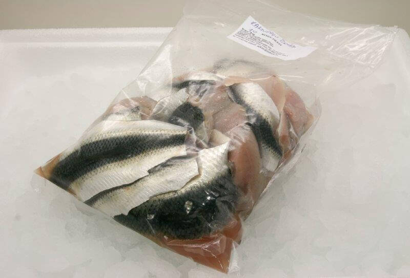 филе салаки