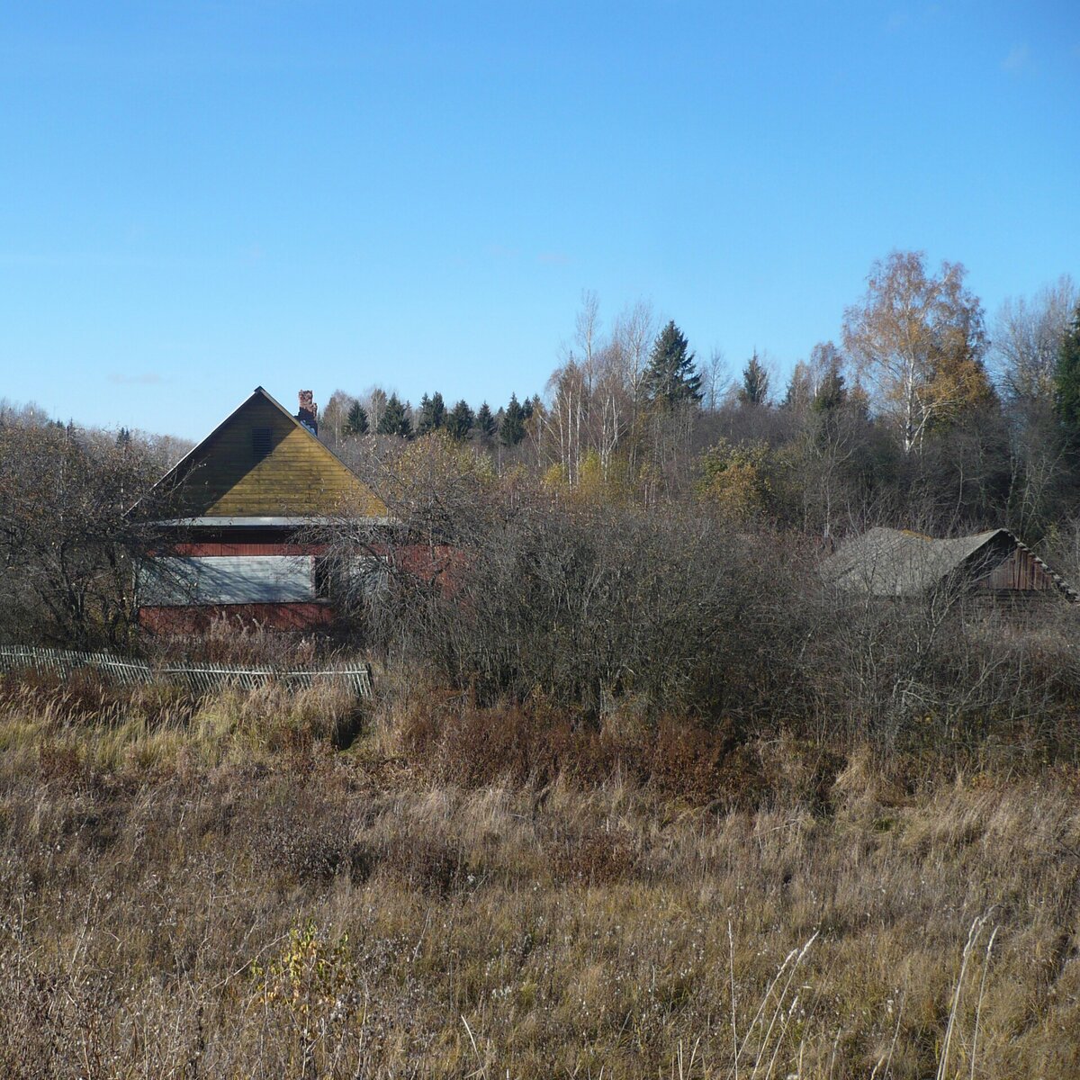 Фото из личного архива 