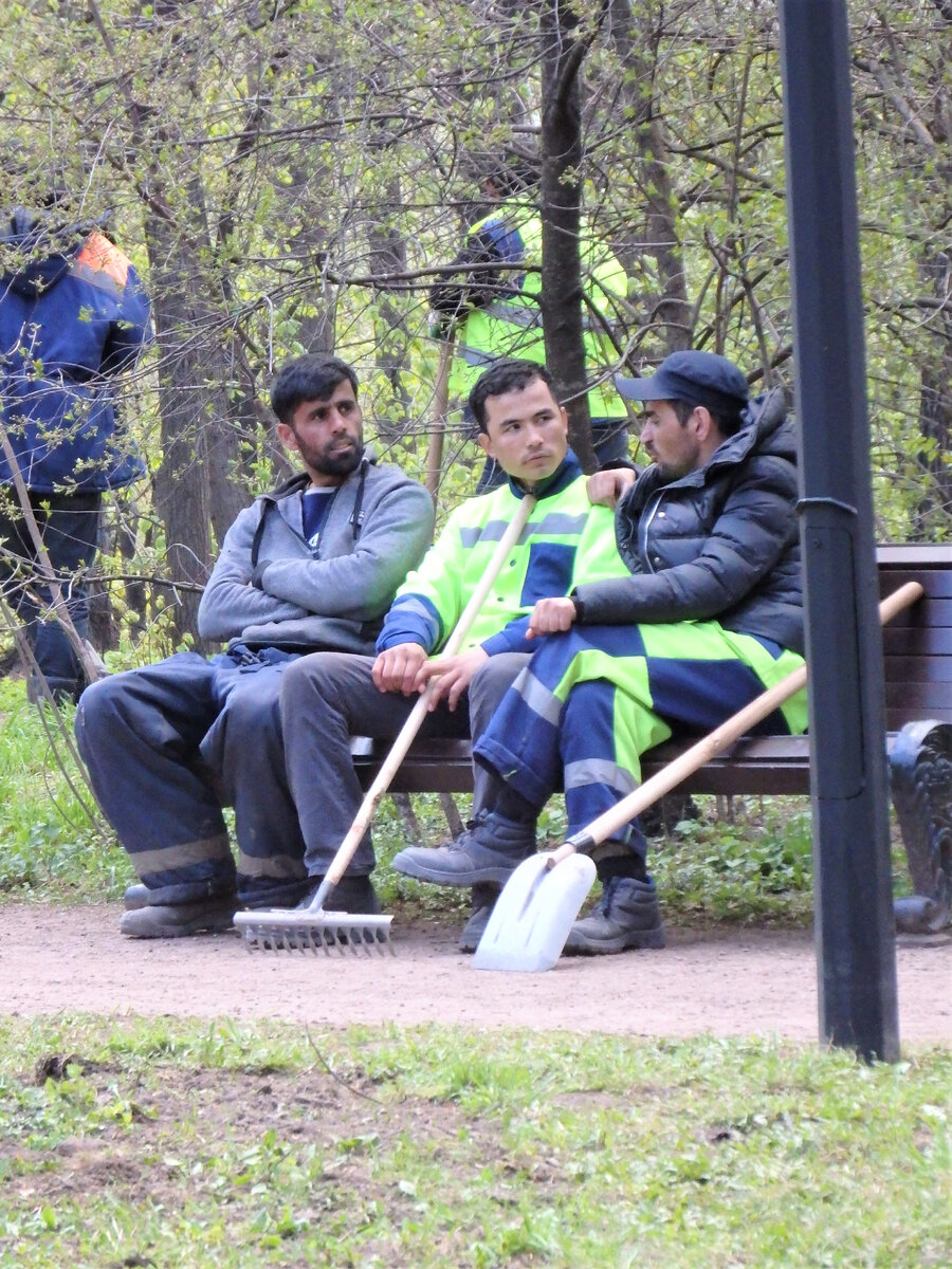 Дорожные рабочие в Нескучном саду
