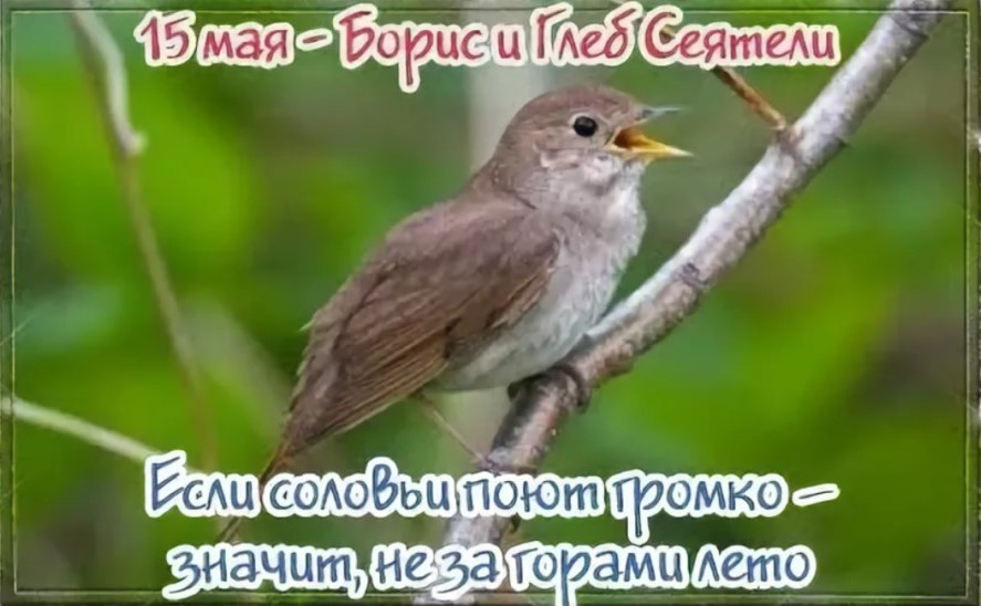 фото взято из открытого источника в интернете