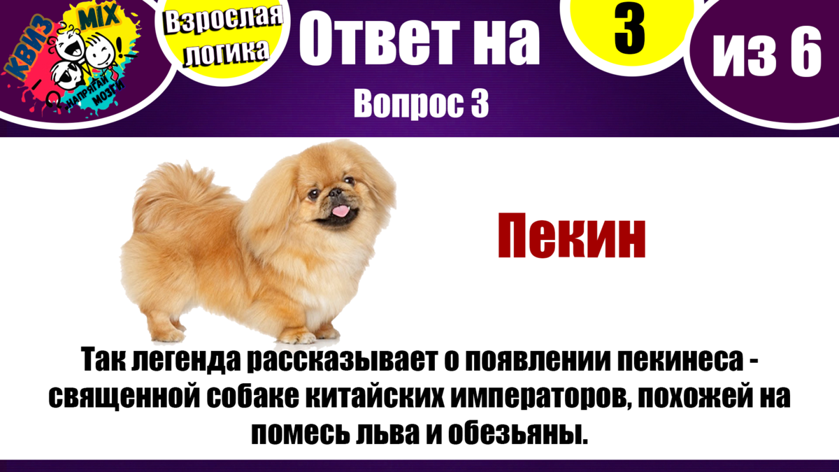 Тесты на эрудицию с ответами без регистрации