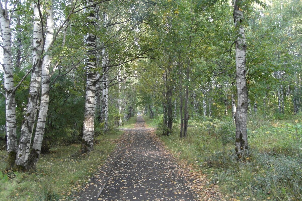 Фото с сайта Likeradar.ru