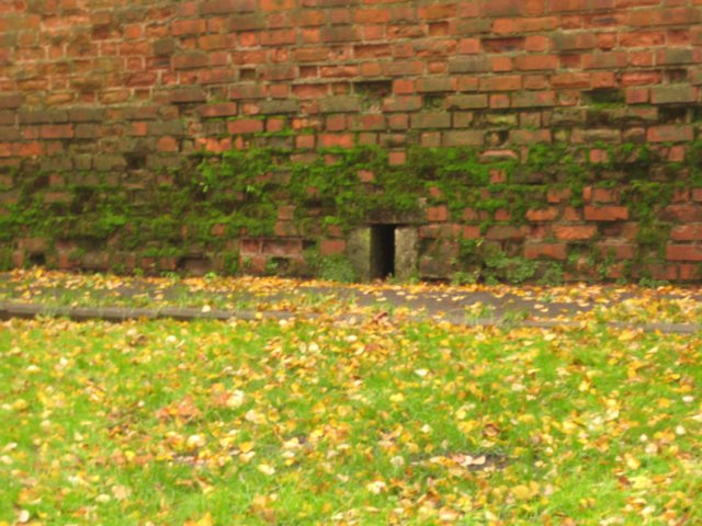  6 октября 2013 г. Газета «Pro Город» от 7 сентября 2013 г. писала: «Налажен свободный проход через Зачатьевскую башню (0+).-12