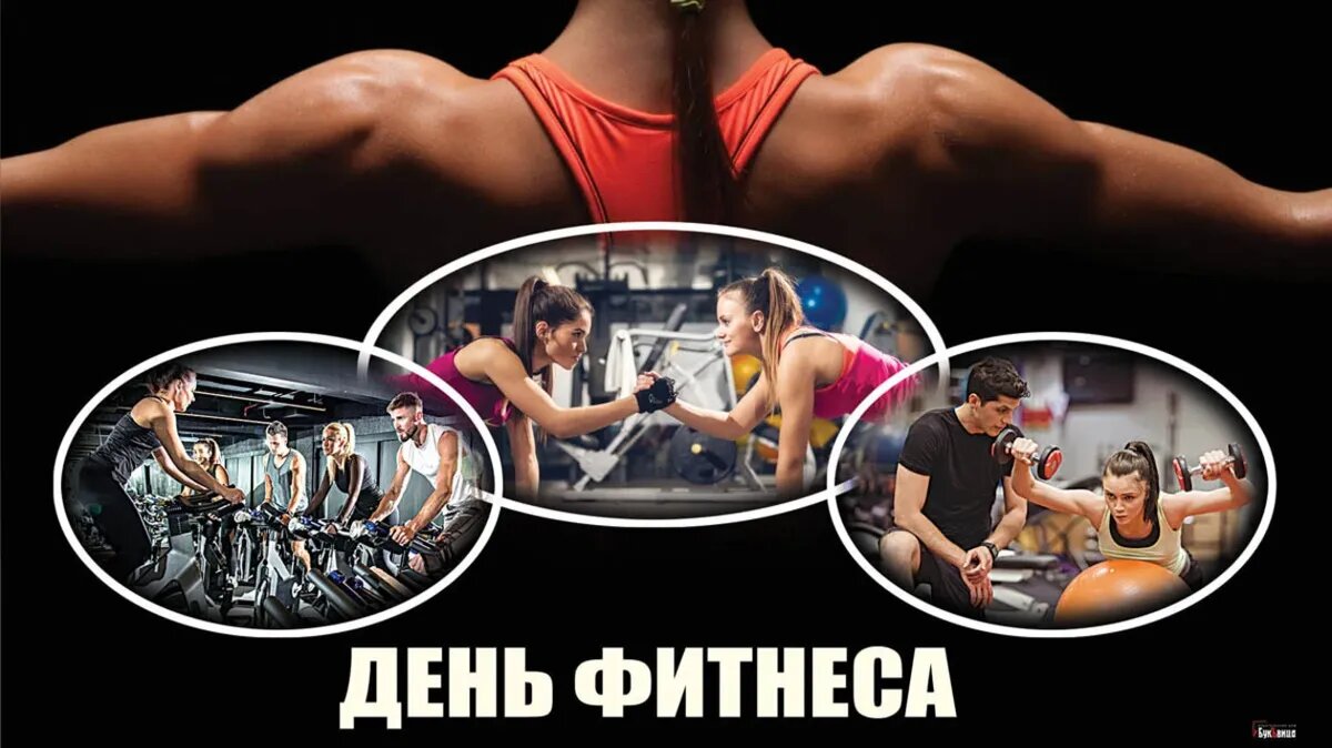 В этот день каждый желающий может поздравить своего фитнес-тренера с праздником. Фото: Курьер Среда