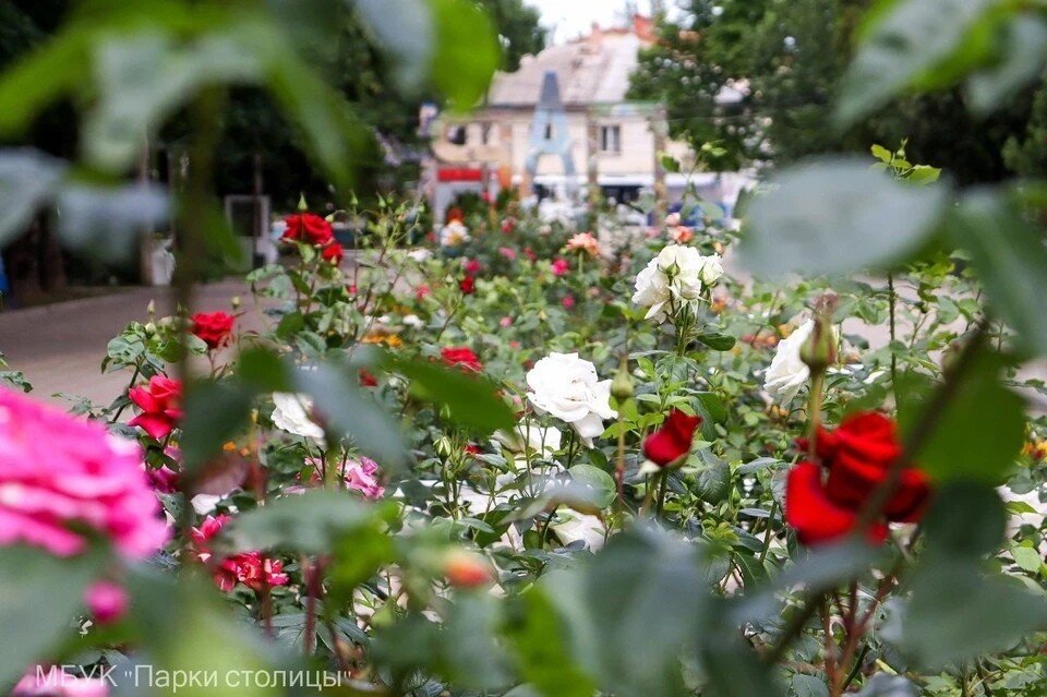     Фото: МБУК "Парки столицы"