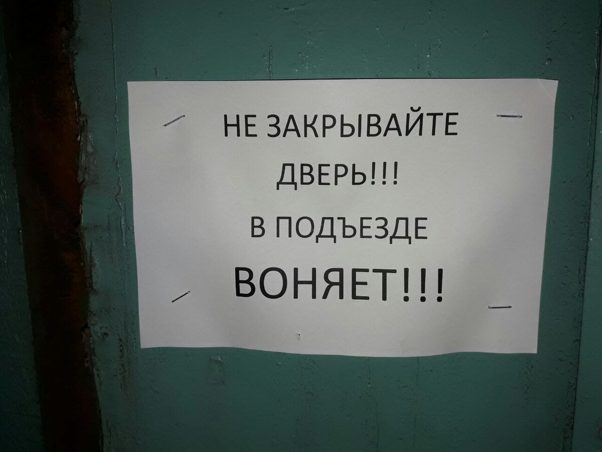 Канализация топит подвал и в подъезде пахнет. Кто виноват и что делать? Разъясняем.