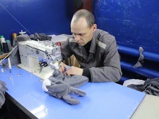     пресс-служба УФСИН по Омской области