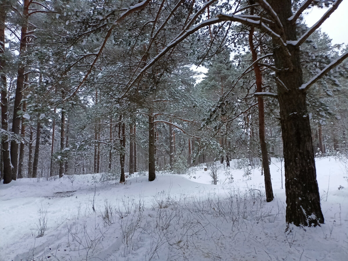 Вот в таком