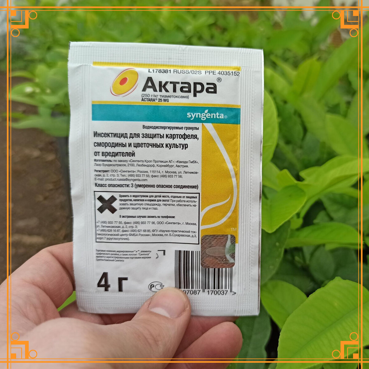 Источник фото: https://pavlovolimon.ru/product/insekticzid-aktara-dlya-zashhity-limonov-ot-vreditelej/