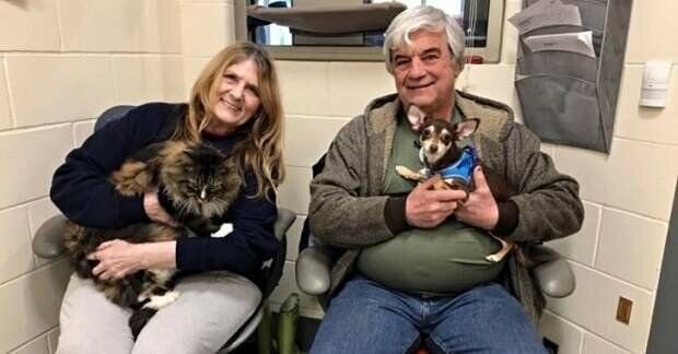 Их новая семья и домашние животные. Источник фото: https: //givepaw.ru/blog/43076100596/vmeste-navsegda:-koshka-i-sobaka.-okazavshiesya-v-odnoy-perenosk?utm_referrer= mirtesen.ru