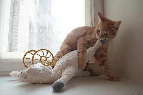 Водолеи♒️ быть людьми ясного ума, решительными, у которых часто может быть и хорошая аудитория. Могут быть и обескураженными и высокими духом, великими и знатными, или же просто эгоманьяками.