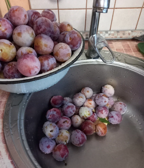 вот такие у нас были плоды