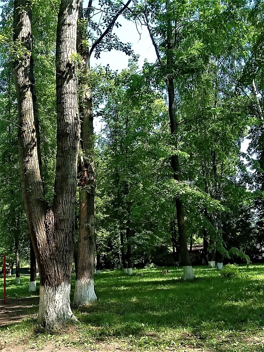бронзовое осень две сестры. бронзовое осень две сестры. бронза осенью. бронзовое осень две сестры. водопад в горенках балашиха.
