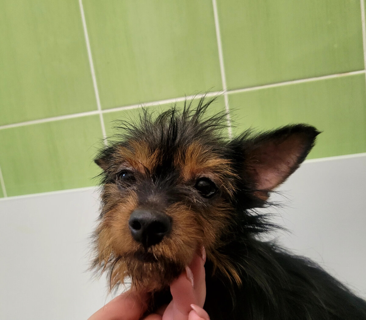 Айза сейчас.