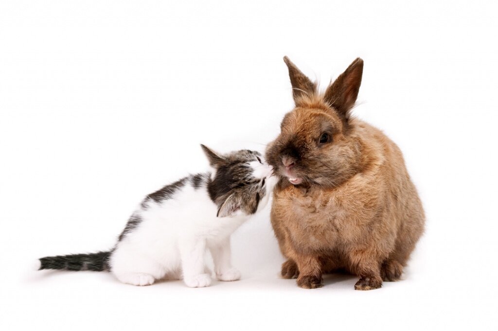 Изображение от wirestock на Freepik