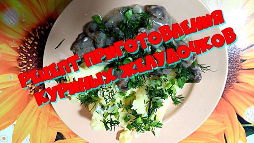 Желудки куриные - рецепты