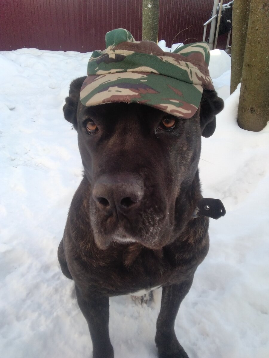 Фото автора. 