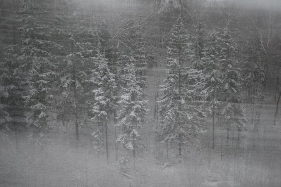     Остаться в живых: жители Николаевского района получили сильнейшее обморожение, попав в снежный плен Виктор ГУСЕЙНОВ