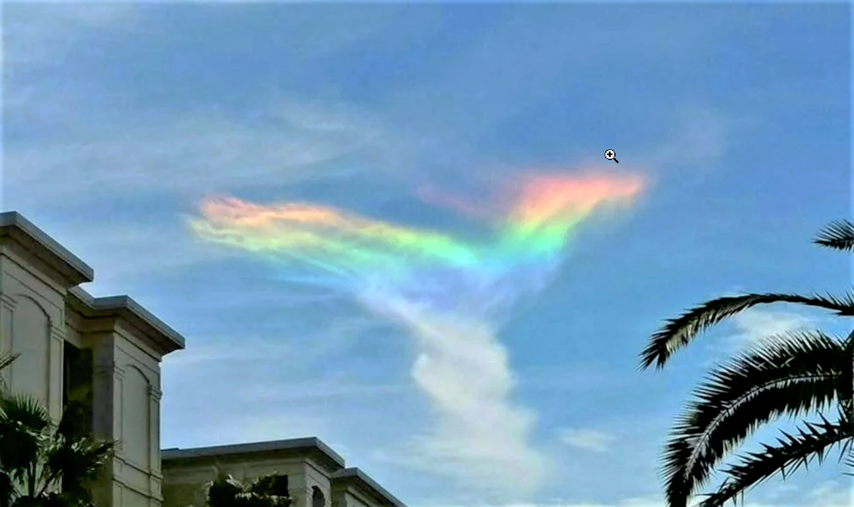 Наблюдается на территории США