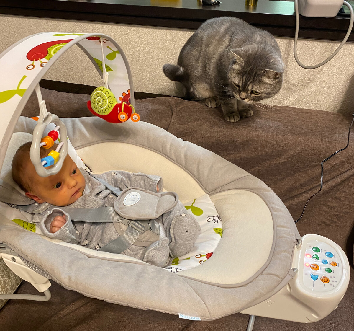 Бэнни изучает Василису, здесь ей 10 дней 