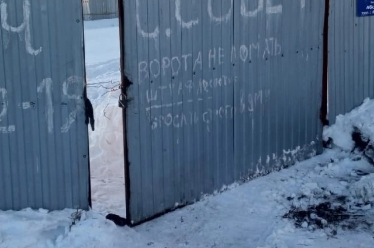    Массовое захоронение собак в скотомогильнике нашли в Башкирии