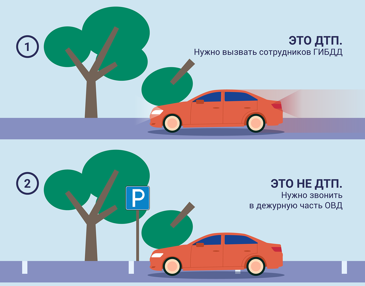 Упало дерево или снег: как водителю возместить убытки от разбитой авто? |  Советы юриста | Дзен