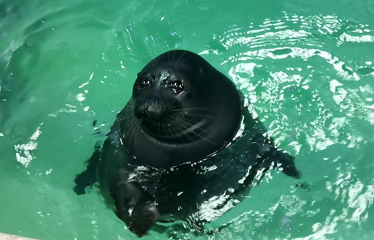 Фото автора канала