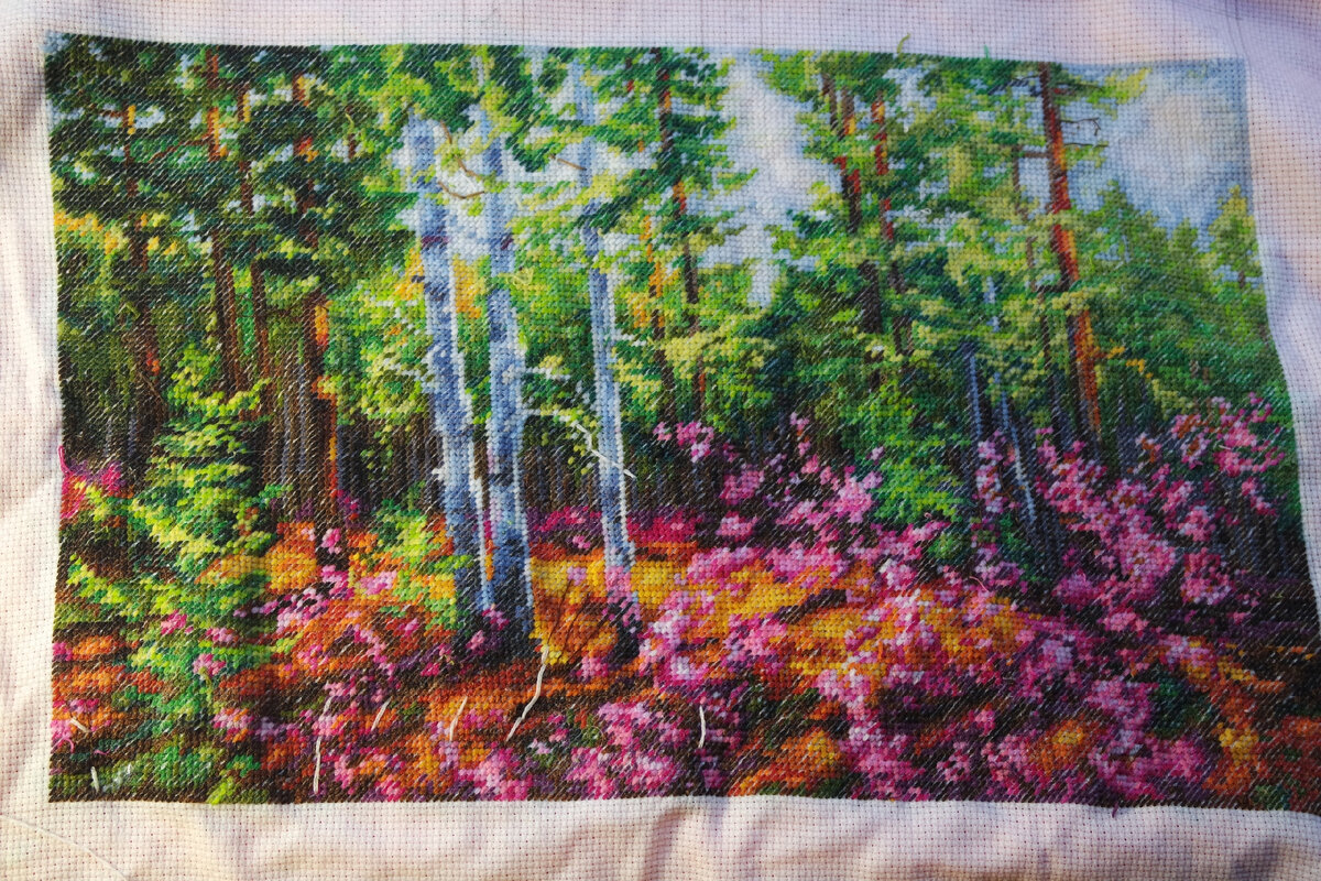 Вышивка раздора