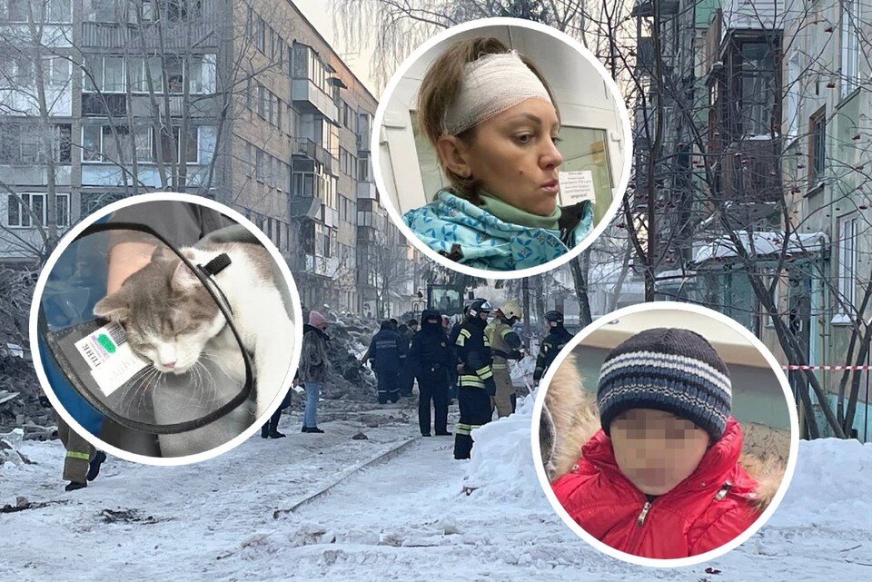     Нескольким людям (и животным) удалось спастись после мощного взрыва. Фото: Фото: благотворительный фонд АНО «ВИАВЕТ»/Анна ПАШАГИНА.